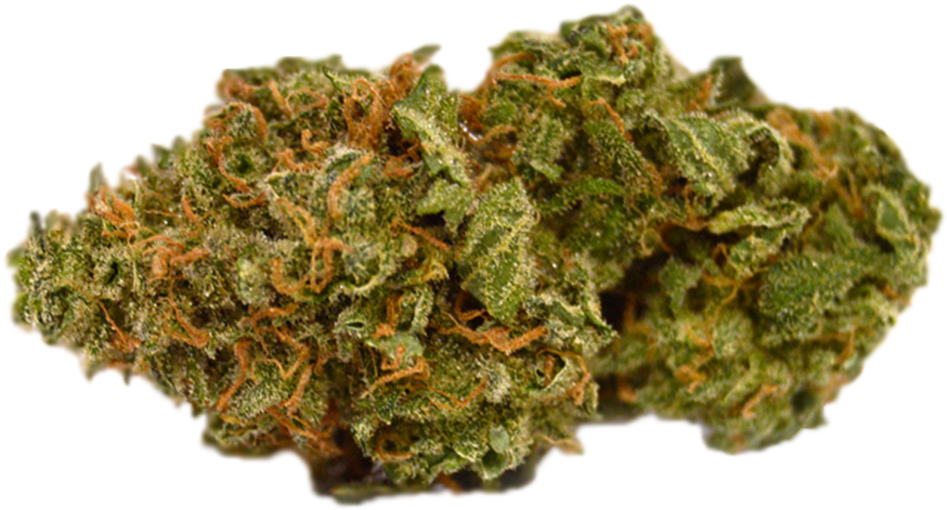 Premium cannabis bud